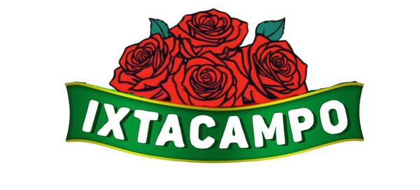 IXTACAMPO 